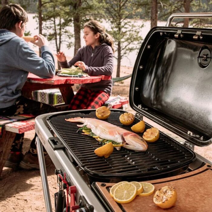 Weber 9010001 Traveler Portable Grill - Image 2